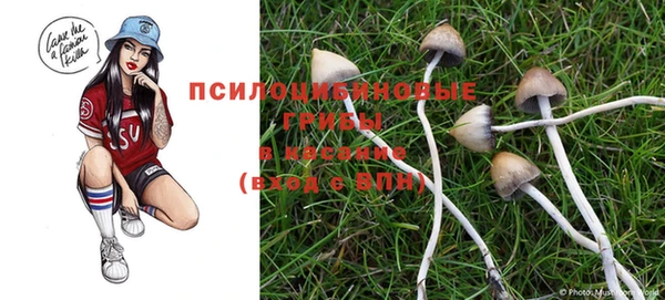 мдма Бронницы