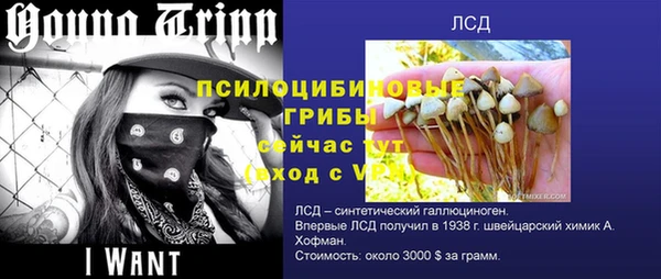 а пвп мука Верея