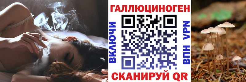 ОМГ ОМГ ссылки  Карабаново  Псилоцибиновые грибы GOLDEN TEACHER  сколько стоит 